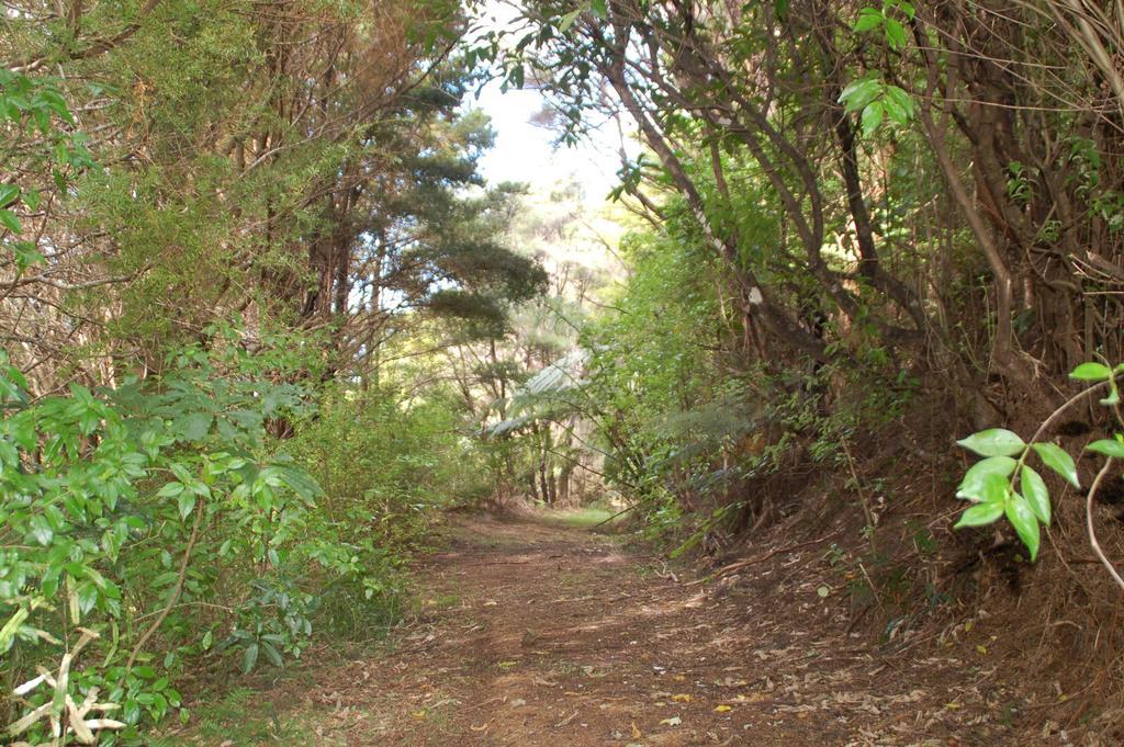 Kohinui Glade Holiday Cottage Parua Bay 외부 사진
