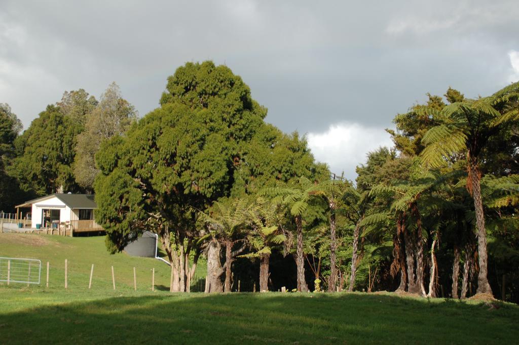 Kohinui Glade Holiday Cottage Parua Bay 외부 사진